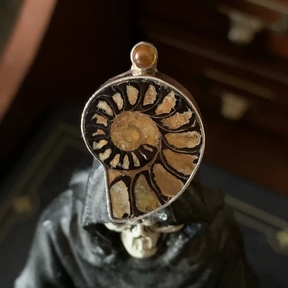 Vintage Ammonite Amber Echo of the Dreamer Sterling Silver Ring